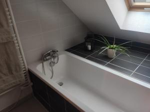 a bathroom with a bath tub with a plant in it at Appartement 2P à proximité de Strasbourg Obernai EV15 in Eschau