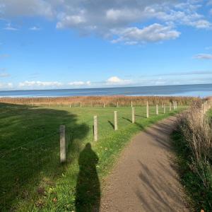 a shadow of a person standing on a path near the ocean at NEU Keitum - Moderne Gemütlichkeit unter Reet in Sylt