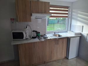 a small kitchen with a sink and a microwave at Domki u Ani in Okuninka