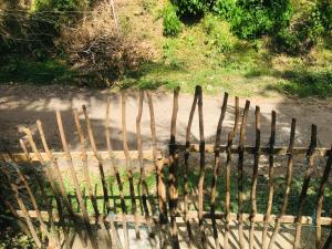 Billede fra billedgalleriet på House in Koggala i Koggala