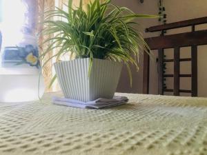 Billede fra billedgalleriet på House in Koggala i Koggala