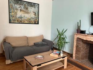a living room with a couch and a coffee table at Appartement proche centre/gare in Le Mans