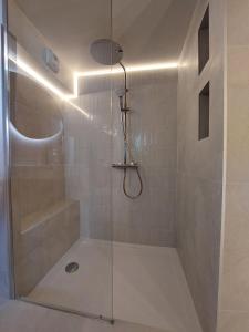 une salle de bain avec une douche avec une porte vitrée dans l'établissement C'Châtelet, à Chartres
