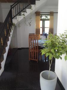 a plant in a white pot in a living room at Villa tharu hikkaduwa in Hikkaduwa