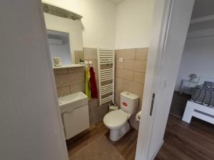 a small bathroom with a toilet and a sink at Agroturizam Na Malenom brijegu TRATINČICA in Veliki Grđevac