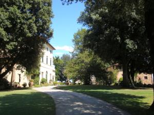 a driveway leading to a house with trees and grass at Villa Pieve De' Pitti in Terricciola