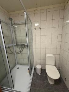 トロムソにあるCasa Sápmiのトイレとガラスのシャワー付きのバスルーム