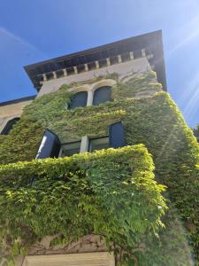 a building covered in green ivy with two windows at Residenza Borgo 27 in Grezzana