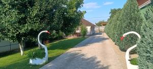 Taman di luar Căsuțe la curte