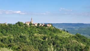 a house on top of a hill with trees at Apartments Villa San Vito in Grožnjan