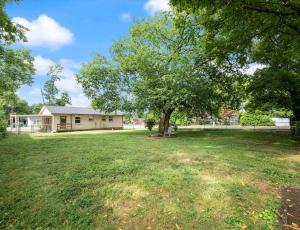 a yard with a tree and a house at Cozy Franklin Hideaway - For 5 in Franklin