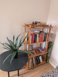 Knihovna v apartmánu