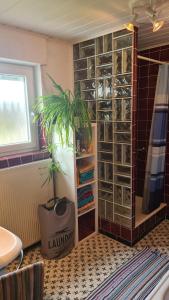 a bathroom with a shower with a plant in it at Appel 
