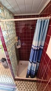 a shower with a blue shower curtain in a bathroom at Appel  +44 photos