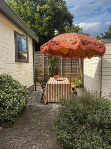 Zahrada ubytování Boutique Budget tinyhouse Veluwe + 4 fotografie