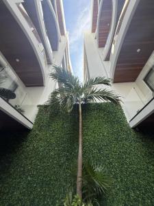 a palm tree in the middle of a building at NEW Luxury Modern Condo by Menesse in Playa del Carmen