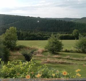 a green field with trees in the background at mart INN in Euscheid