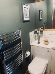 a bathroom with a toilet and a sink and a mirror at Mo-Dhachaidh B&B in Poolewe +36 photos
