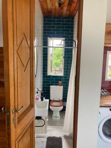 a bathroom with a toilet and a blue tiled wall at La Puertita de Acantilados in Mar del Plata
