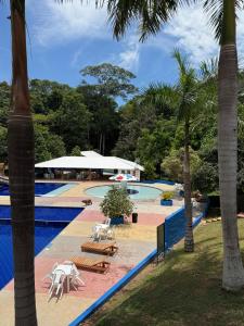 a resort with a pool and palm trees at Eco hotel el bosque in Doradal