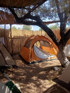 Fotografie z fotogalerie ubytování Camping Ullishtja v destinaci Qëparo + 41 fotografií