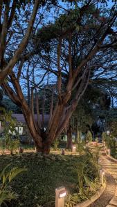 Afbeelding uit fotogalerij van Aranyeh People Tree Resort in Bangalore