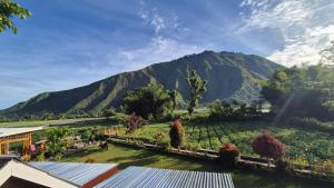 Landskap semula jadi dekat dengan hotel