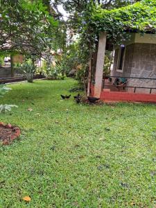 Afbeelding uit fotogalerij van Aranyeh People Tree Resort in Bangalore