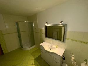a bathroom with a sink and a shower and a mirror at Penzion Bamako in Chřibská