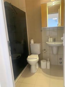 ein Badezimmer mit Toilette, Dusche und Waschbecken in der Unterkunft Ayshira Aparts in Kemer