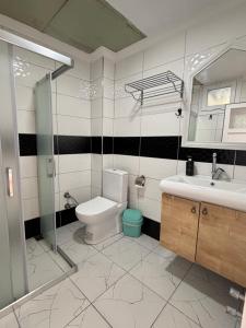a bathroom with a toilet and a sink and a shower at Likya Inn in Karadere