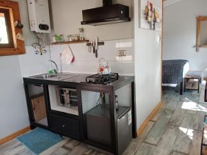 een kleine keuken met een spoelbak en een fornuis bij Cabañita con o sin Tinaja Ruta657 in Coihaique