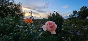 En have udenfor Magnifique appartement