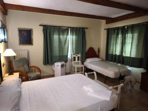 een slaapkamer met twee bedden en een hond die in de kamer staat bij Finca los Barrancos in Lepe