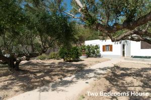 two bedrooms house with a tree in the yard at Deja Dream Homes in Schinopi