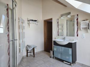 a bathroom with a sink and a mirror and a shower at Berrichonne house near Beauval Zoo in Jeu-Maloches