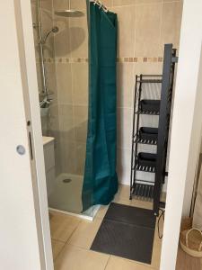a bathroom with a shower with a green shower curtain at Maison sur la colline in Montpezat