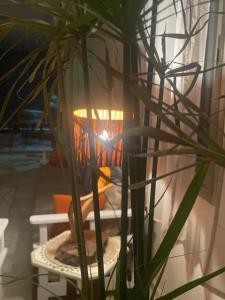 Posezení v ubytování Dar Mimosa