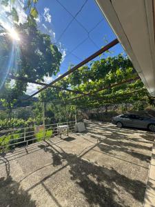 En have udenfor Emily Cottage house in Gjirokaster