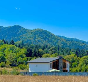 Naturlandskabet i nærheden af lodgen