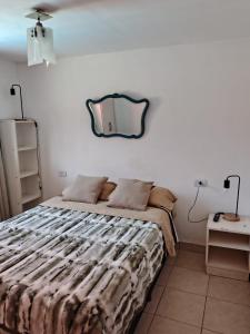 a bedroom with a bed with a mirror on the wall at Casa lupe in Yerba Buena +15 photos