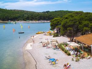 a group of people on a beach in the water at Hacienda MATEA an oasis of romance near the beaches, surrounded by olive trees, pool, jacuzzi and playground, Pula - Istria in Pula