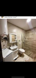 a bathroom with a toilet and a sink at Palace 19 in Zlatibor