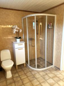 a bathroom with a shower and a toilet at Apartment Porsgrunn - Bright, spacious, comfortable in Porsgrunn