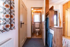 a small bathroom with a refrigerator and a toilet at Ferienwohnung am Abbrandtnergut  +12 photos