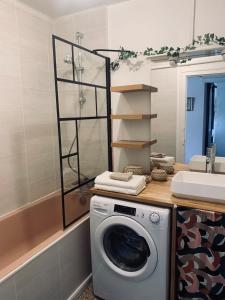 una lavatrice in un bagno accanto a un lavandino di L'Olivier #Terrasse #Confort a Clermont-Ferrand Altre 8 foto