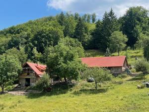 una casa con techo rojo en un campo en Off-grid Eco Farm Dolinka, en Kozelník