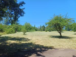 a field with two trees in the grass at Exceptional cottage in Tournus