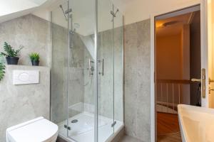 a bathroom with a shower and a toilet at Kleine Bö 2 in Tönning +13 photos