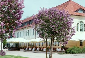 Zahrada ubytování Schloss Hotel Dresden Pillnitz
